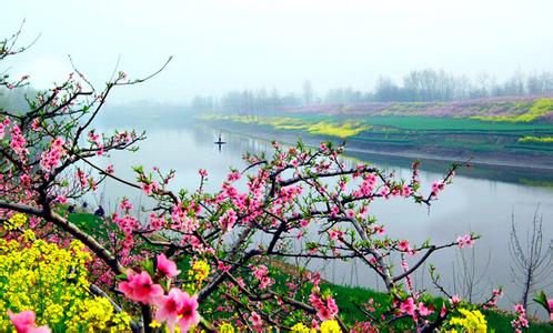 西华天气预报10天查询，末来十天天气