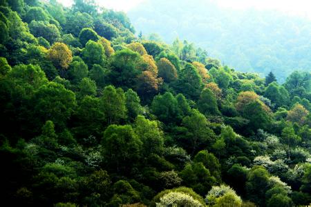 张家川天气预报30天查询,张家川县一个月天气