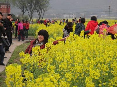 娄底双峰天气预报_双峰天气预报一周7天10天15天娄底双峰天气预报,双峰天气预报一周7天10天15天