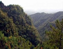 天水五龙山