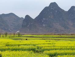 东莞马山仙境