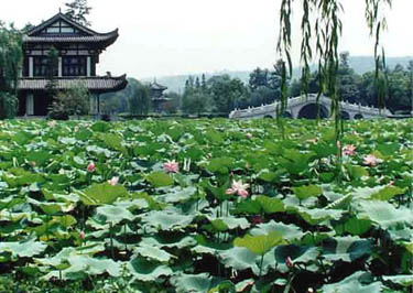 宜宾天池公园天气