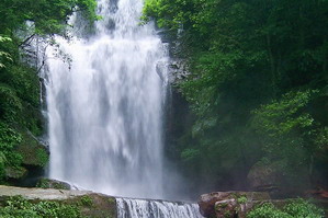 赤水燕子岩国家森林公园