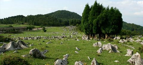 忠县千野草场天气